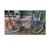 Raleigh Zing Mountain Bike